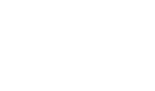 BRAVELY DEFAULT FLYING FAIRY